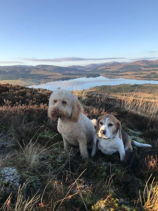 Vila Polharrow Dalry  Exteriér fotografie
